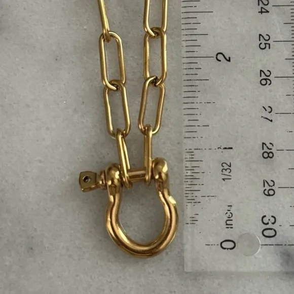 COPY - Gold Carabiner Clasp Charm Chain Link Necklace
Brand New - Picture 4 of 4